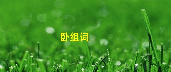 卧组词是(卧组词是什么有哪些)