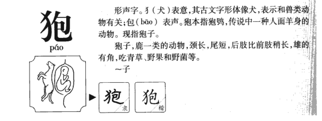 狍的组词(狍的组词2个字)