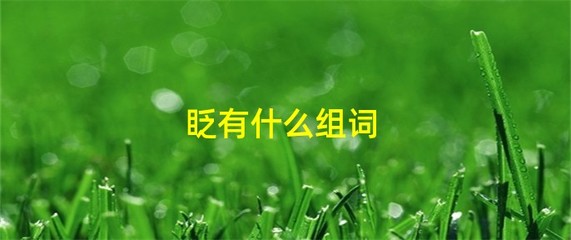 眉组词组词(眉的组词?)