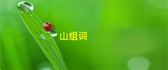 山组词(山组词造句一年级简单)