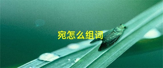 宛的组词(察的组词)