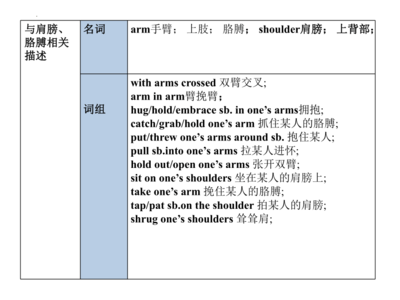 膊组词组(膊组词组什么词语和拼音)